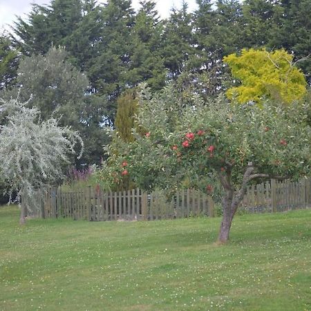 The Willow Studio - Peaceful Retreat Near Whitstable Seaside Faversham Exterior foto