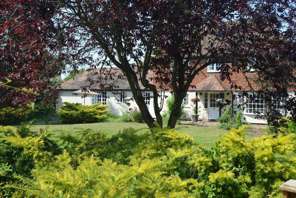 The Willow Studio - Peaceful Retreat Near Whitstable Seaside Faversham Exterior foto